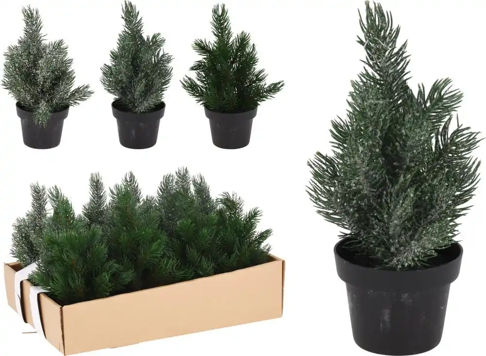 Pom de Crăciun într-o oală de 22 cm amestec | Preț atractiv
