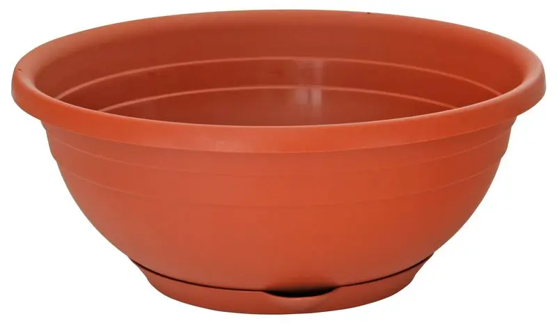 Expediere rapidă | Ghiveci cu flori ICS SERENELLA 35x12 cm, cu mat
