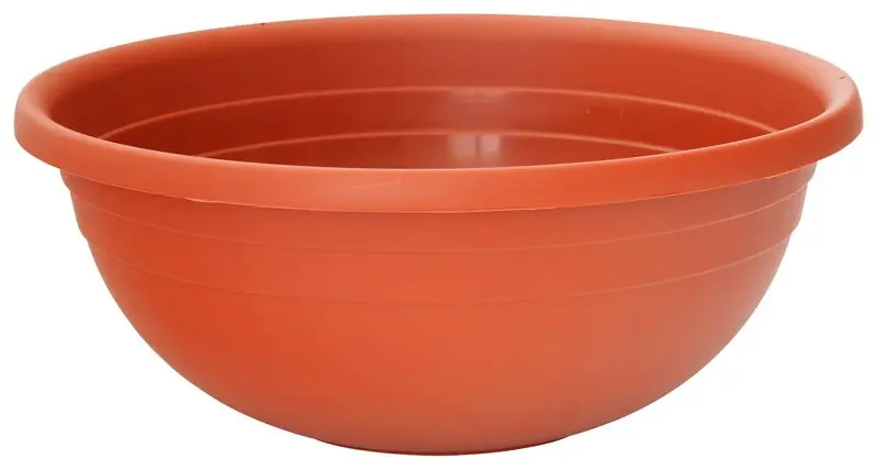 Selecție de top | Vas ICS CLIVIA 30x12 cm