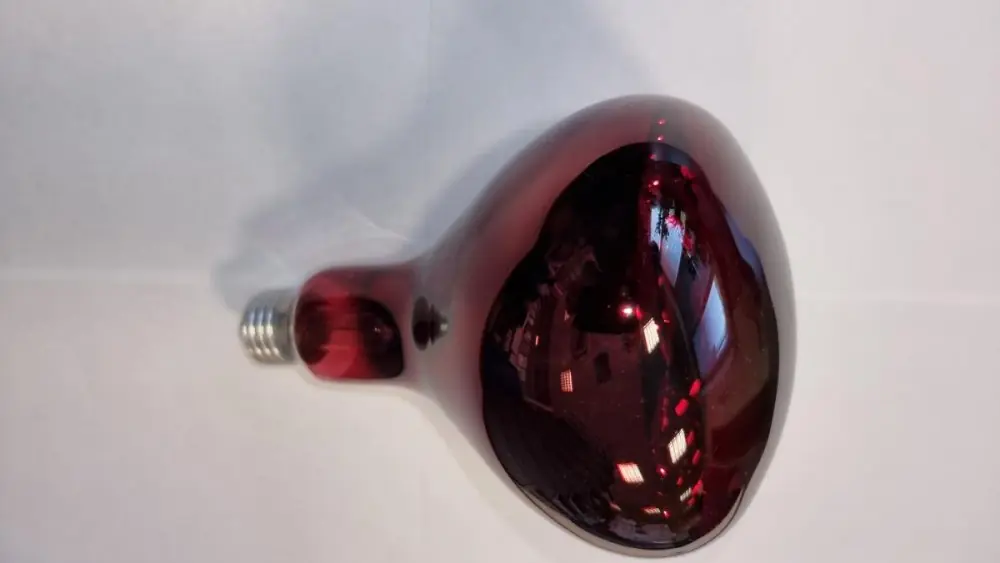 Retur ușor | Bec incalzire 250W rosu inchis GAUN