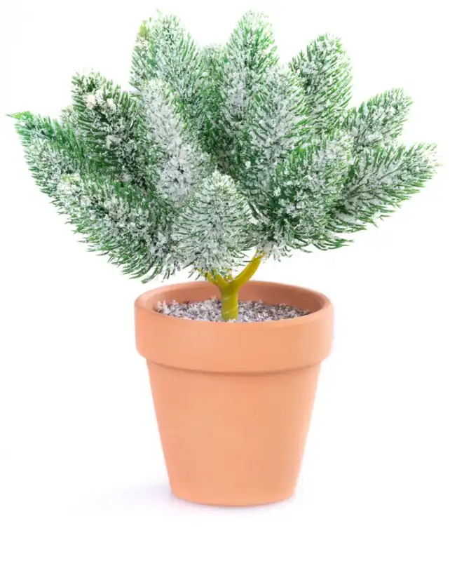 Calitate superioară | Decor de Craciun MagicHome, crengute in oala, zapada, 20 cm