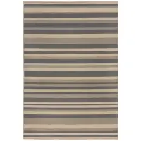 Covor Dreptunghiular STRIPE 230 x 160cm | Livrare rapidă