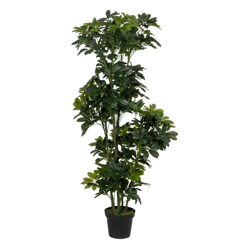 Ultimele produse | Planta mare artificiala de apartament Schefflera 145 cm