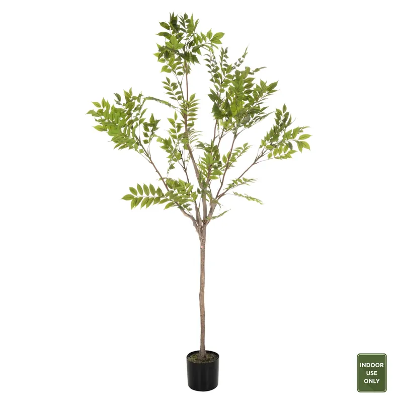 Planta artificiala DEBRO 190 CM | În tendințe